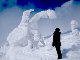 【Ichinobo ReservationSeat】暖房付雪上車で巡る、標高1,600mの冬のアクティビティ