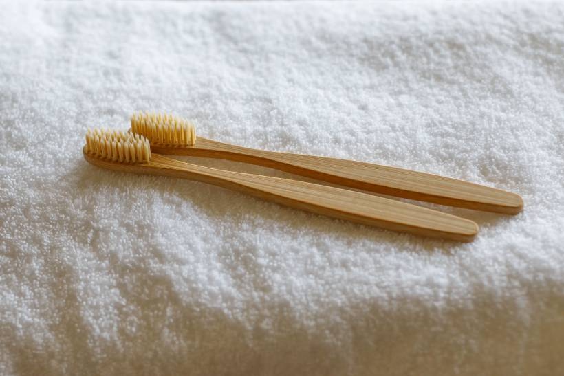 天然素材・竹製歯ブラシイメージ