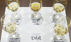 ニッカ宮城峡蒸溜所で特別な時間