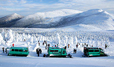 ワイルドモンスター号で行く樹氷鑑賞