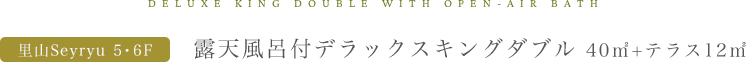 露天風呂付デラックスキングダブル