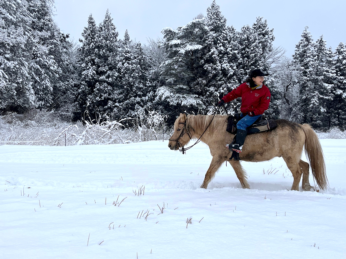 午年メモリアル「雪上馬旅～くるみホースピクニック30分」