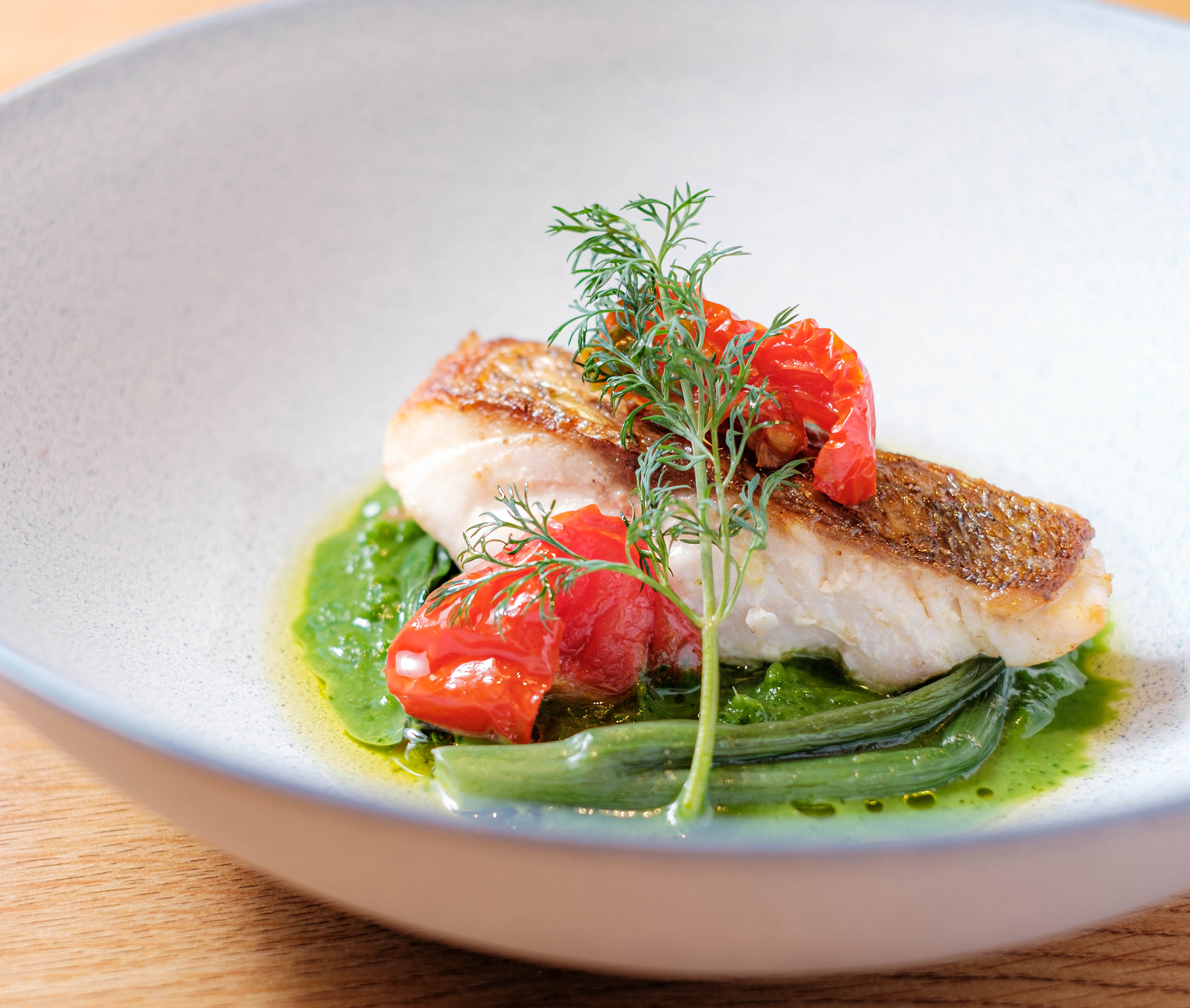 2026 Spring　春のディナービジュアル