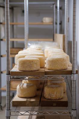 工房には熟成中のチーズも並びます。